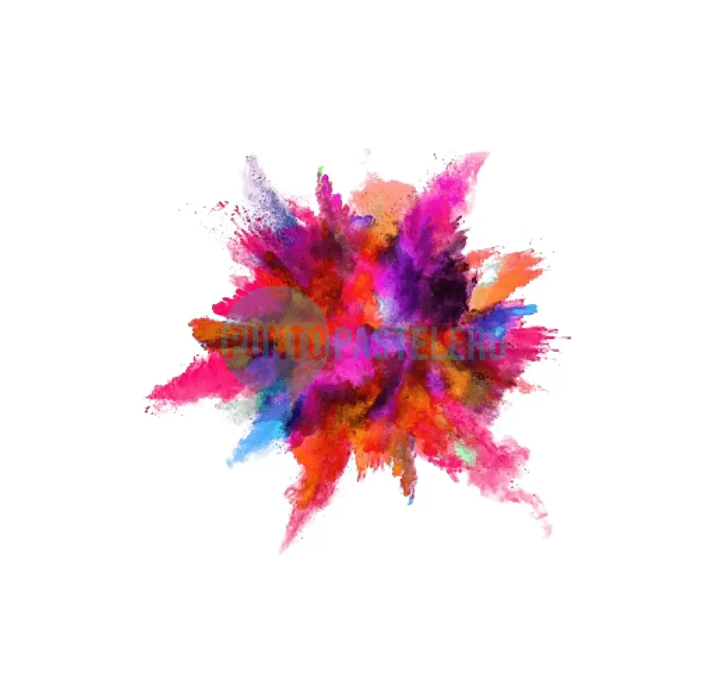 POLVO HOLI COLOR (COLORES SURTIDOS)