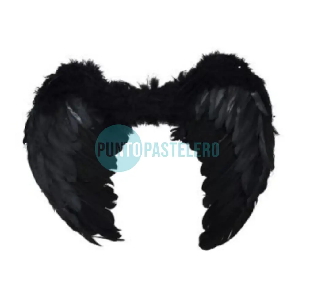 ALAS ANGEL CHICA FULL PLUMA NEGRO (45 X 34 CM)