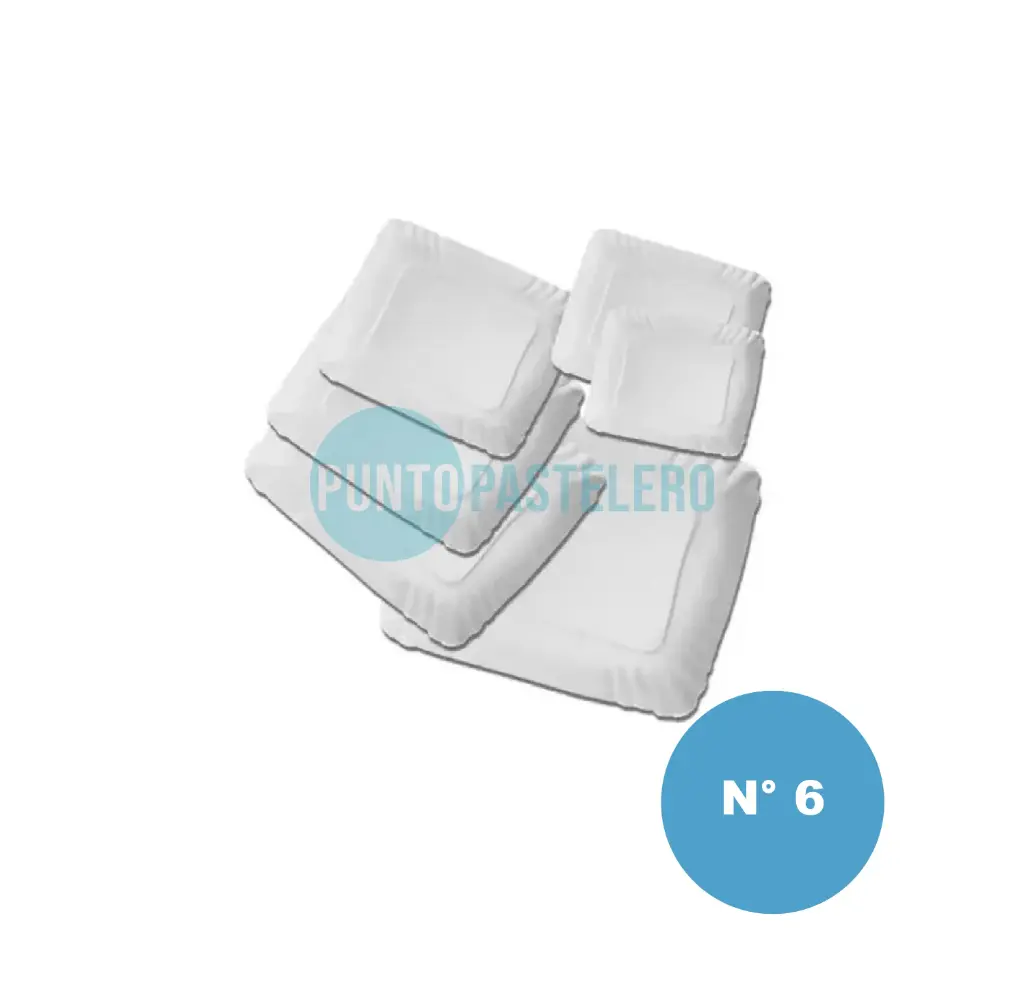 BANDEJA DE CARTON RECTANGULAR N° 6 (24X30 CM) (X 100 U.)