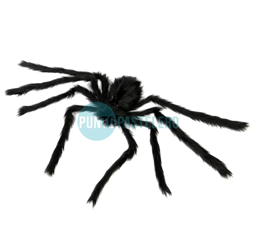 ARAÑA PELUDA NEGRA GRANDE