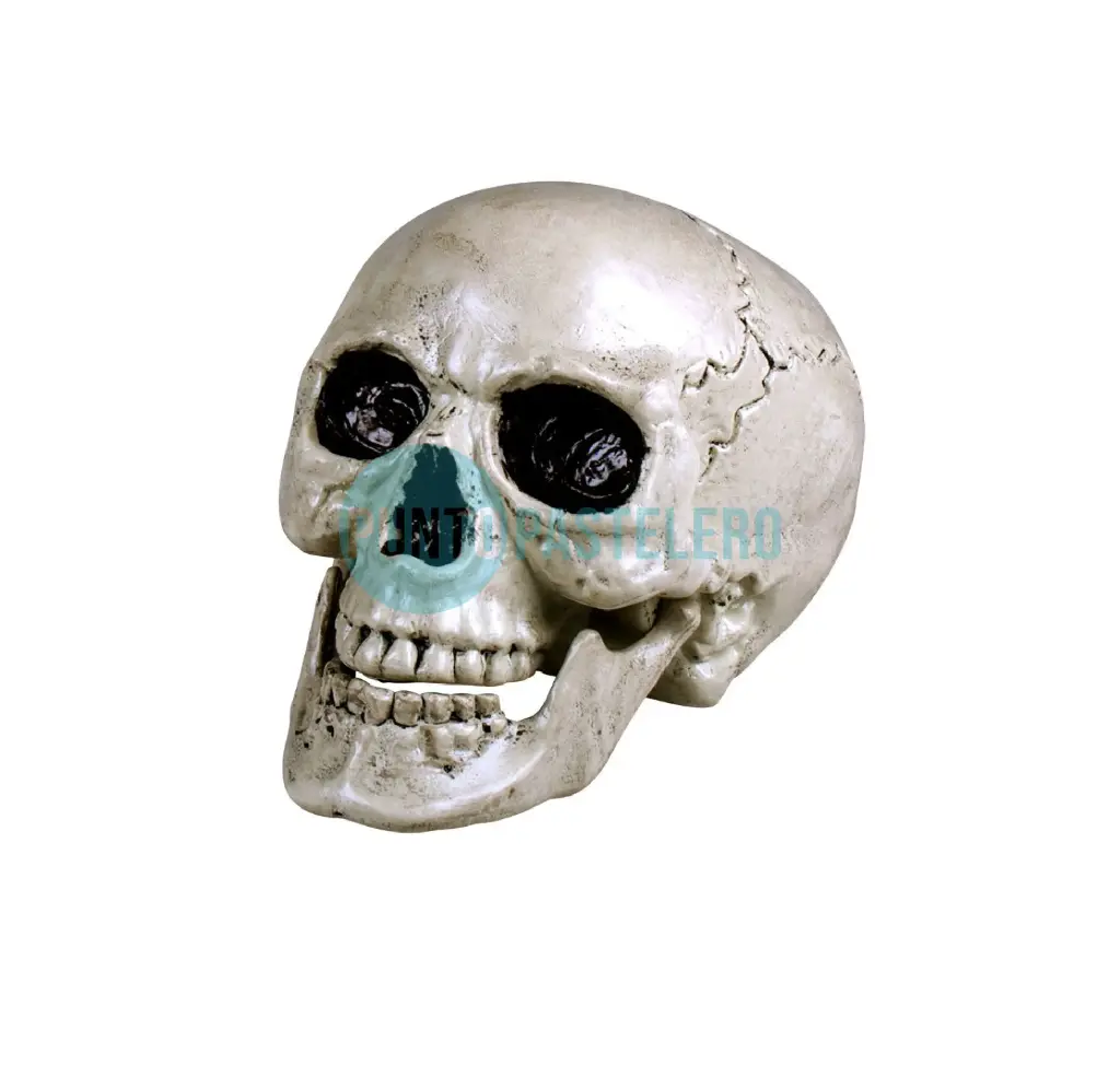 [00120978] CALAVERA CRANEO ARTICULADO 20 CM