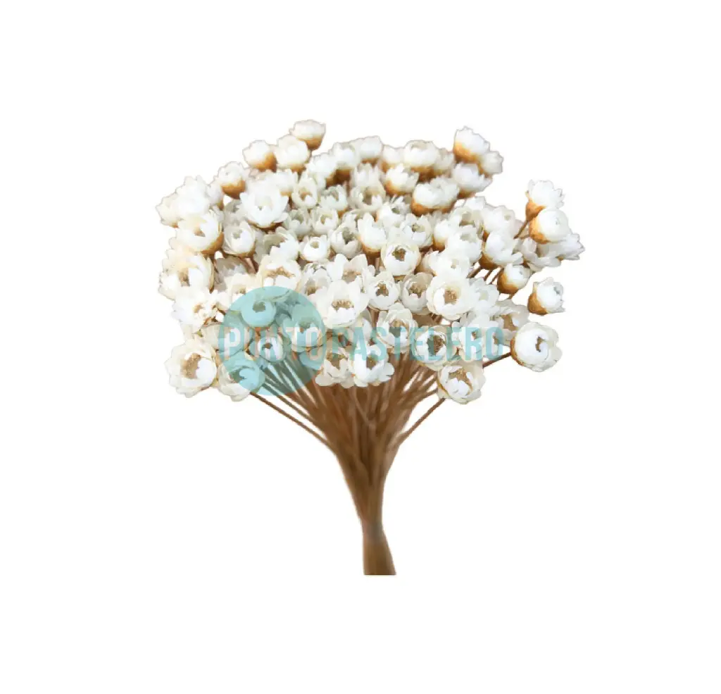 [000000057312] RAMILLETE DE FLORES SECAS DIAMANTINA NATURAL