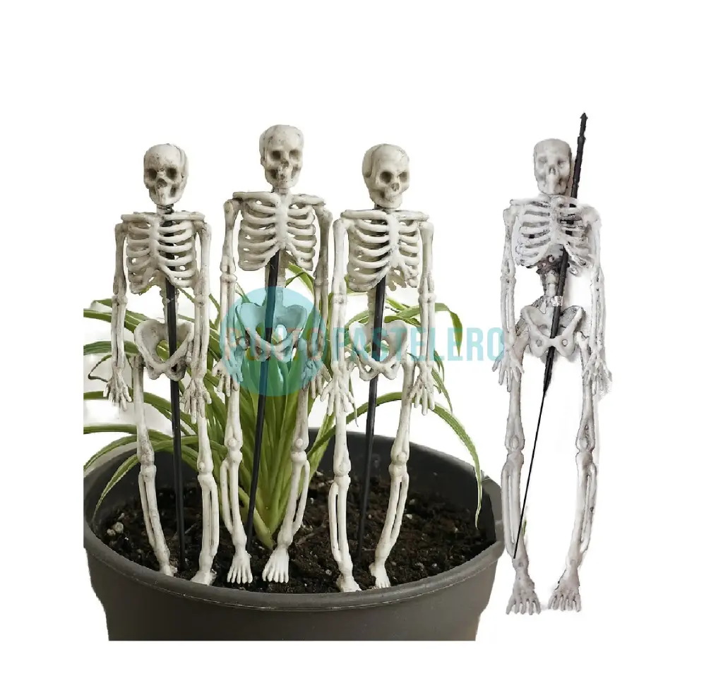 [00120819] SET 3 ESQUELETOS (18 CM)