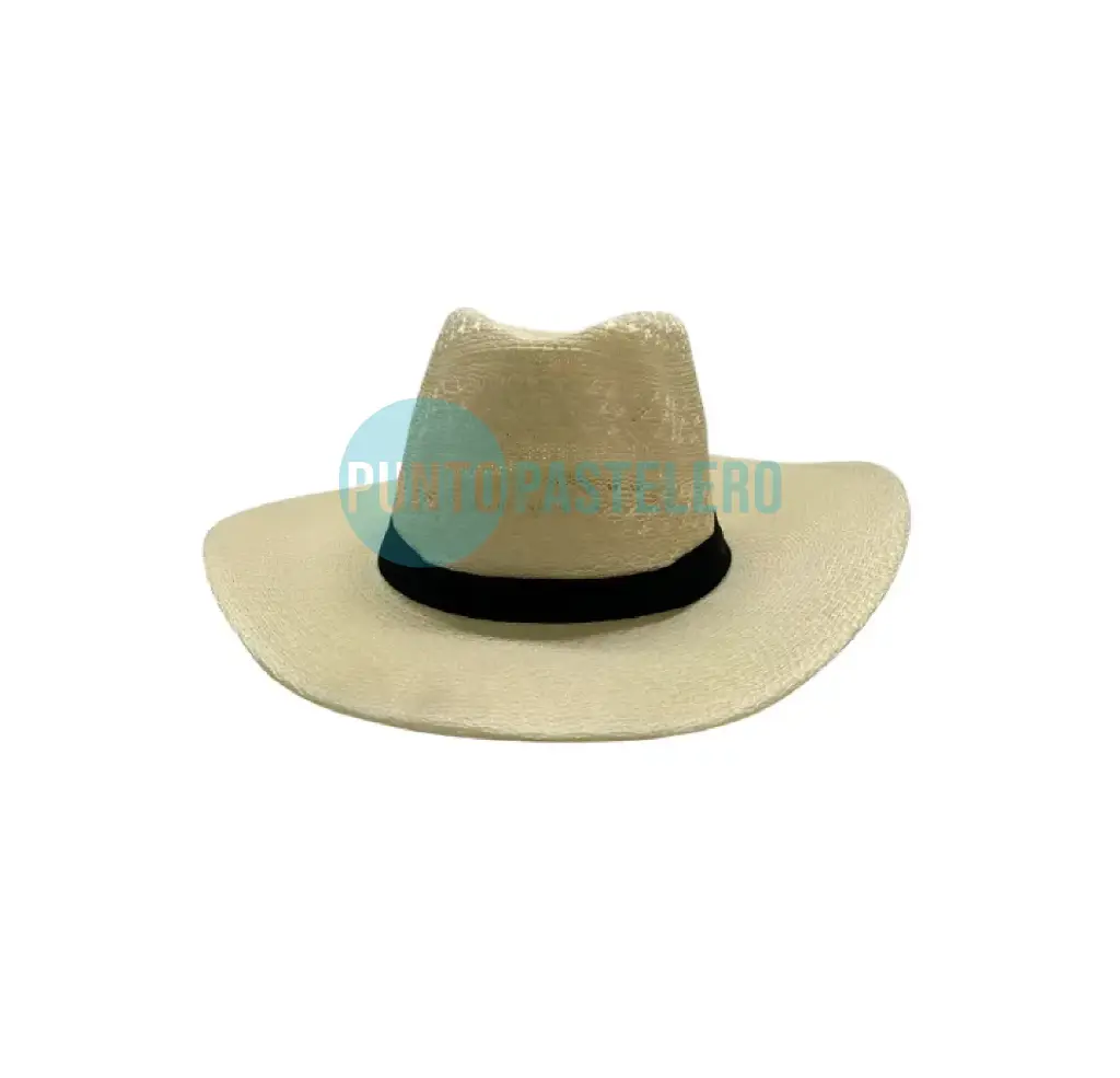 [JEF0317] SOMBRERO PANAMEÑO CINTA NEGRA CON SUJETADOR