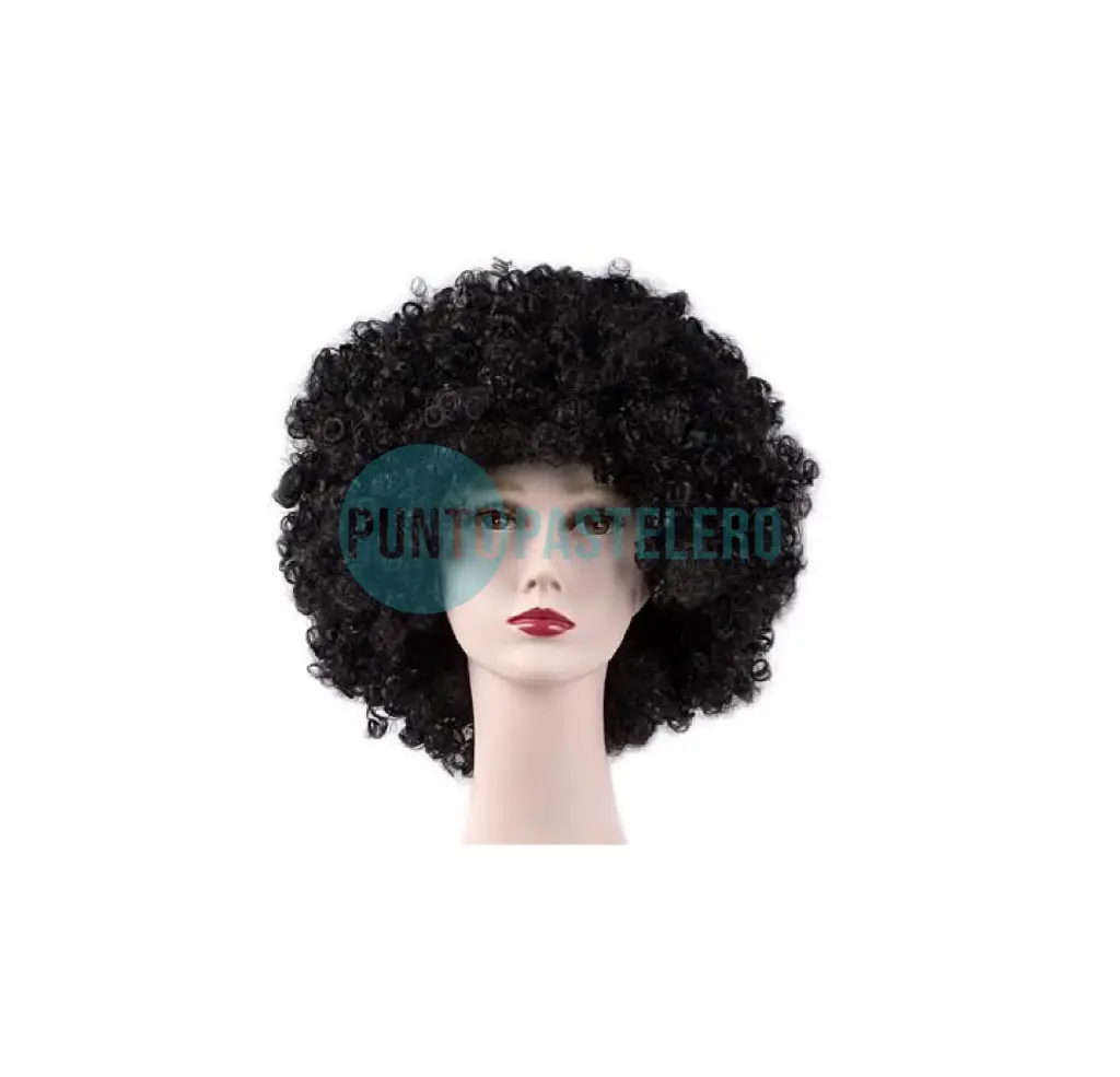 PELUCA AFRO NEGRA