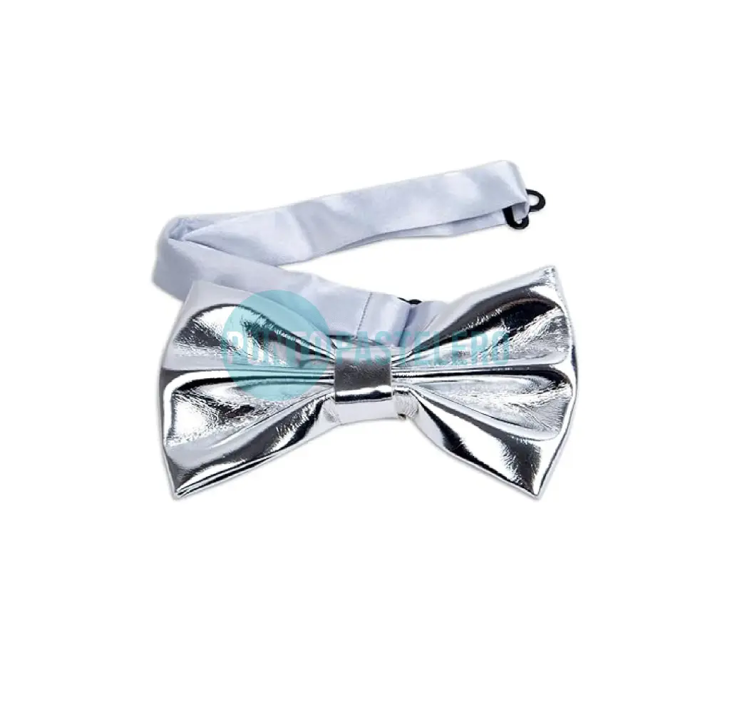 MOÑO PLATEADO PARTY STORE