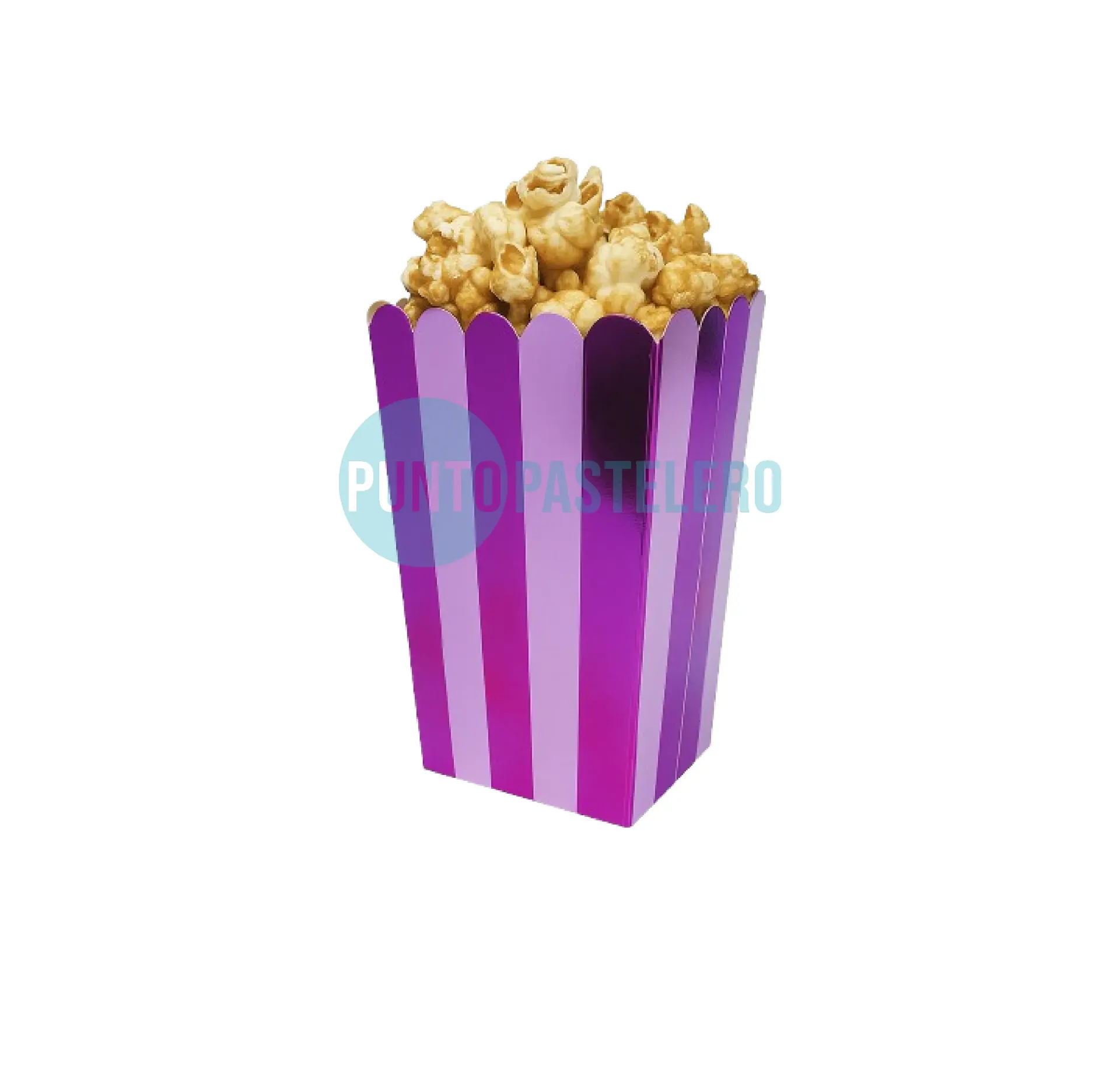 POCHOCLERAS LILA Y VIOLETA A RAYAS (8 U.)