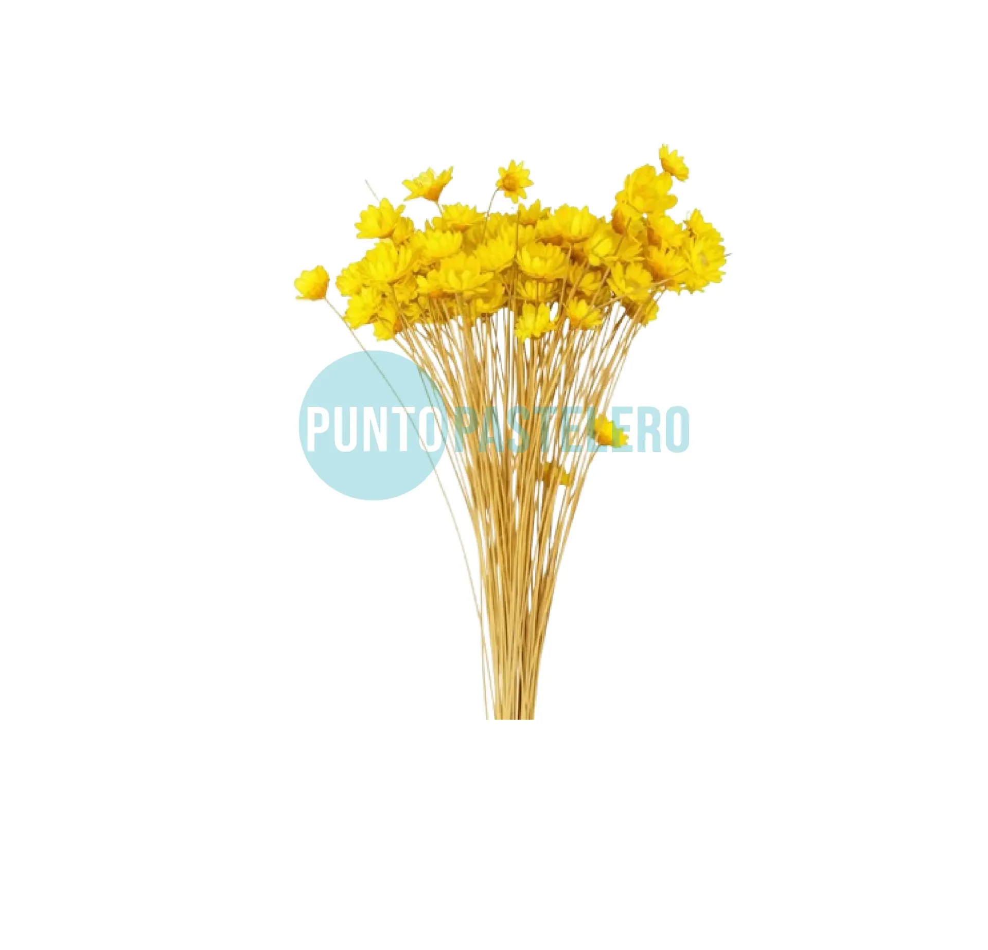 [000000057308] RAMILLETE DE FLORES SECAS DIAMANTINA AMARILLA