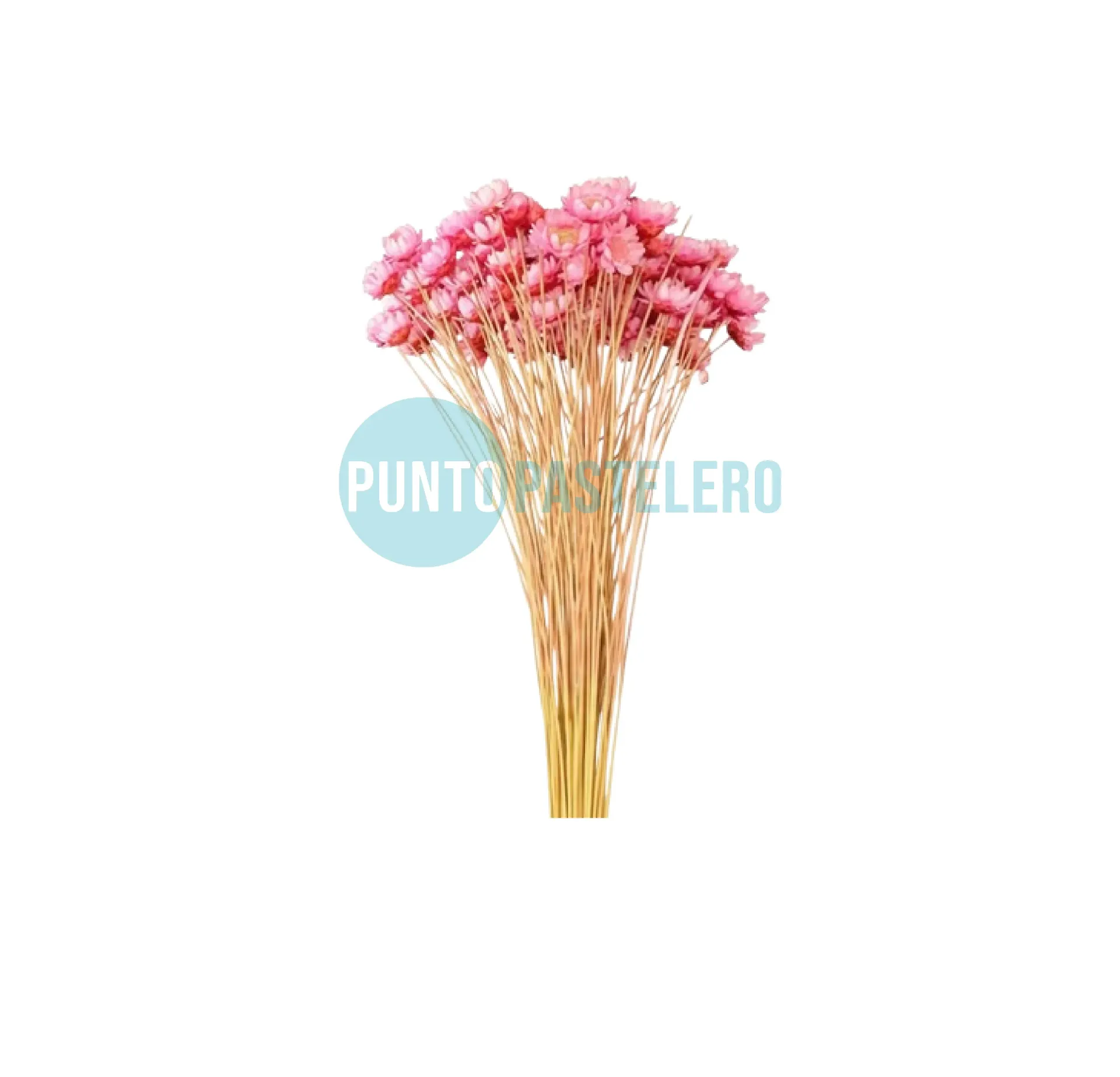 RAMILLETE DE FLORES SECAS DIAMANTINA ROSA