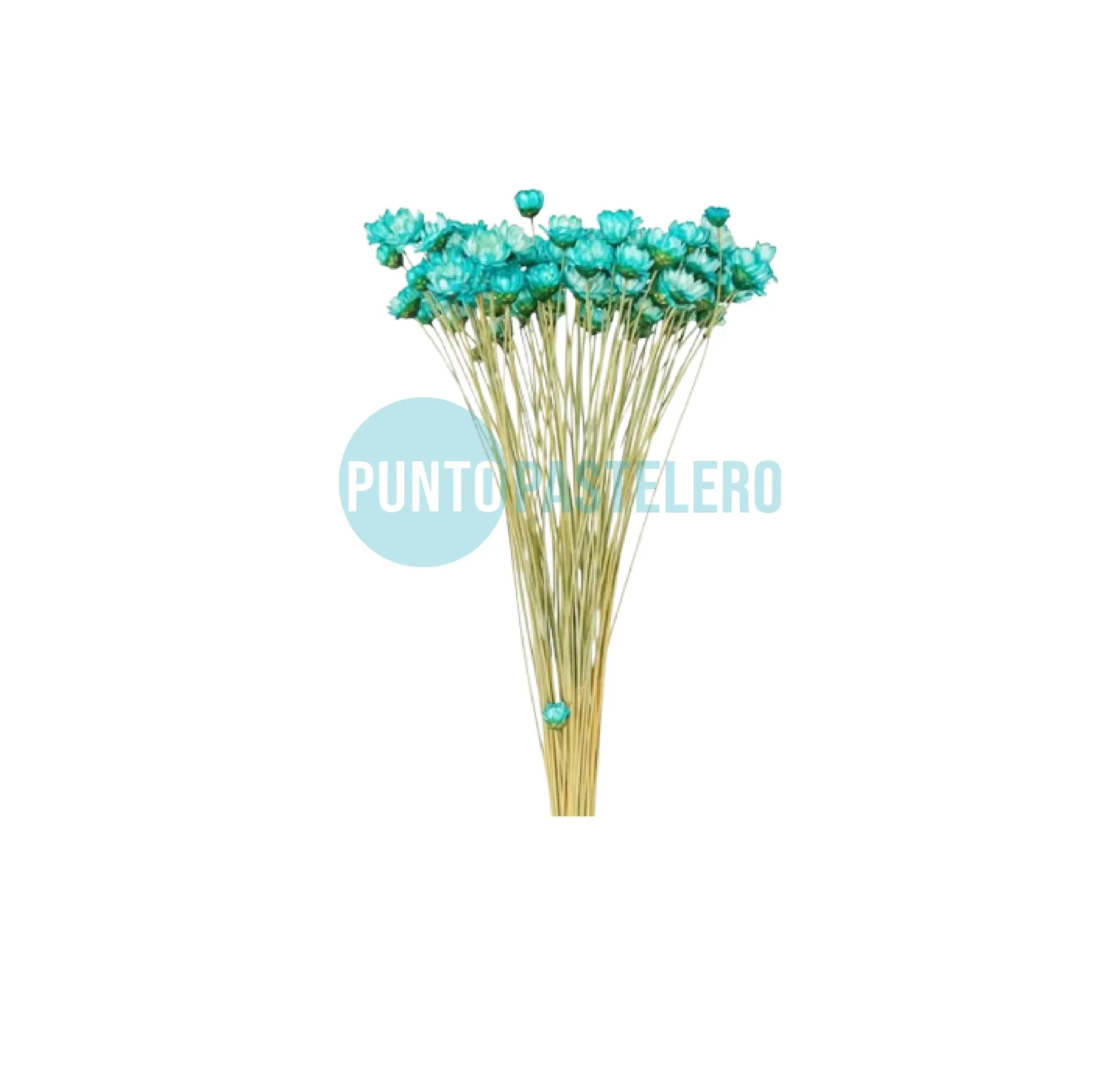 [000000057316] RAMILLETE DE FLORES SECAS DIAMANTINA TURQUESA