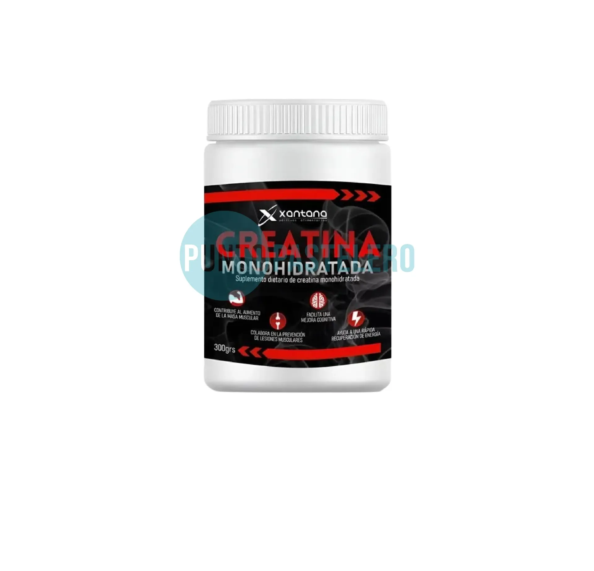 [058658] CREATINA MONOHIDRATADA XANTANA (X 300 GR.)