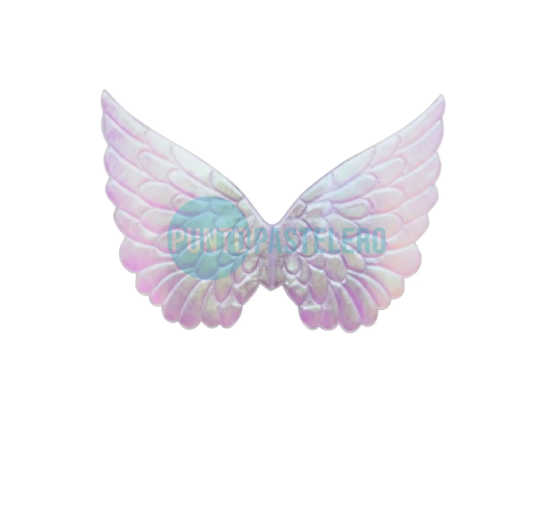 ALAS ANGEL FANTASY IRIDISCENTE (48X25CM)