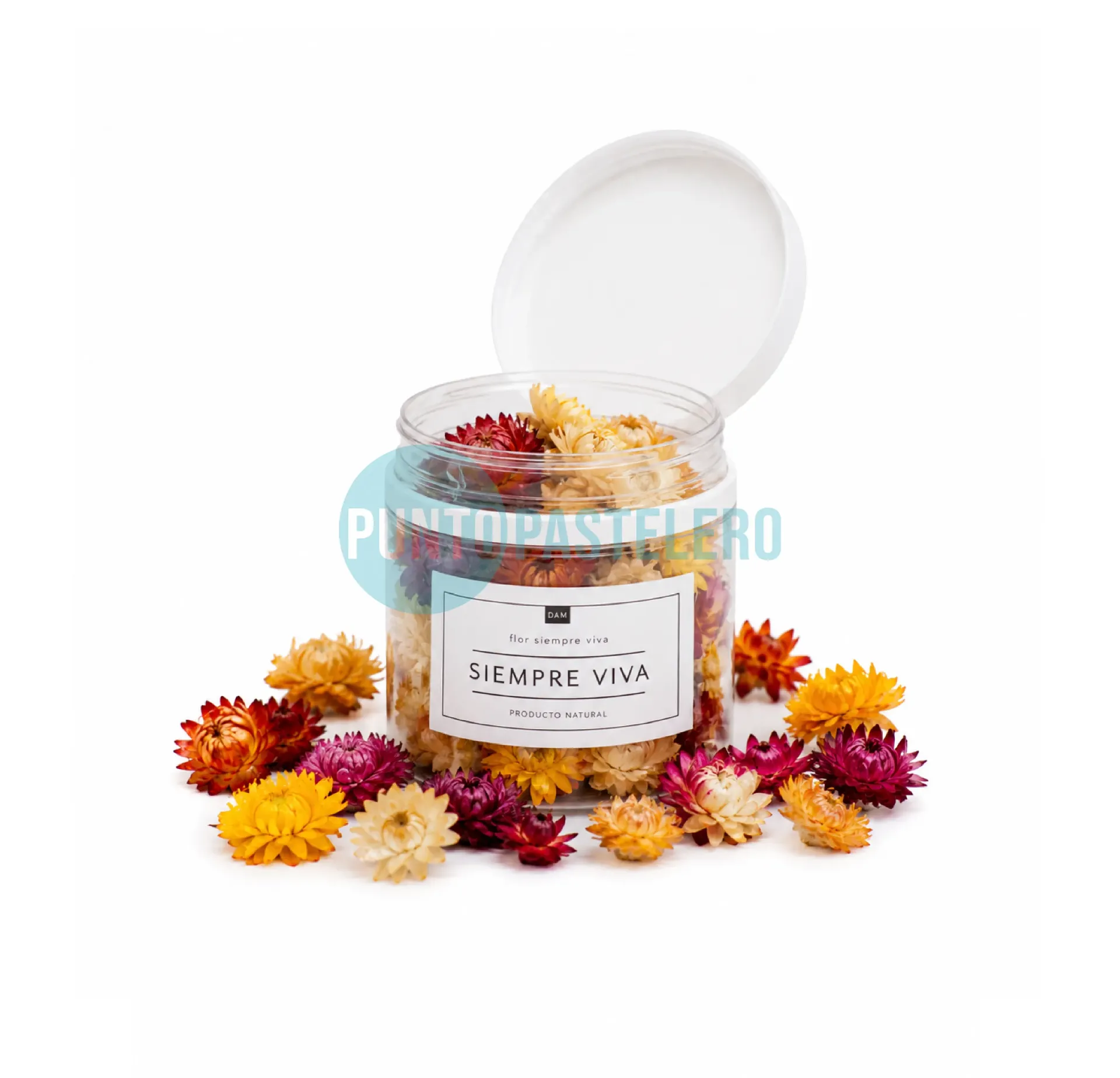 [45676] FLORES COMESTIBLES SIEMPRE VIVA (X 144 CC.) (GRISELDA DE PEDRO)