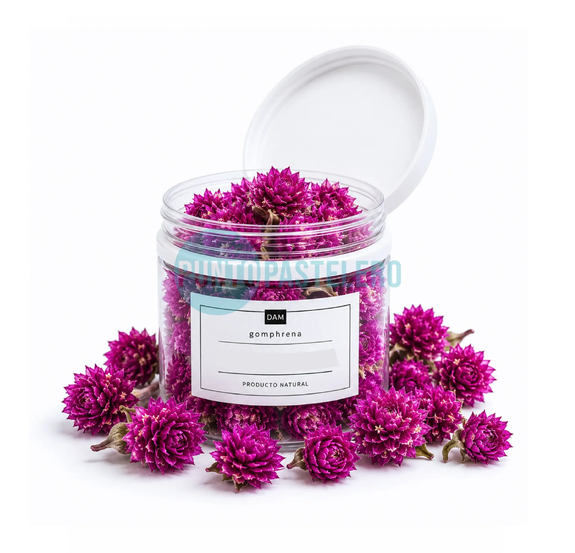 [45678] FLORES COMESTIBLES GOMPHRENA (X 144 CC.) (GRISELDA DE PEDRO)