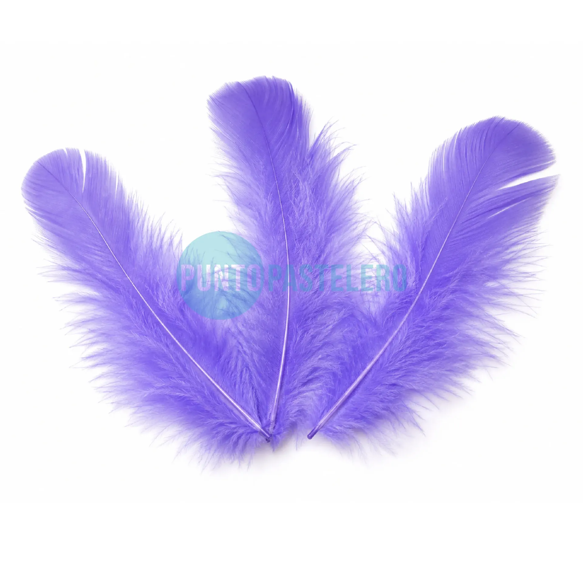 PLUMA ECONOMICA CHICA LILA N°13 CBX (50 U.)