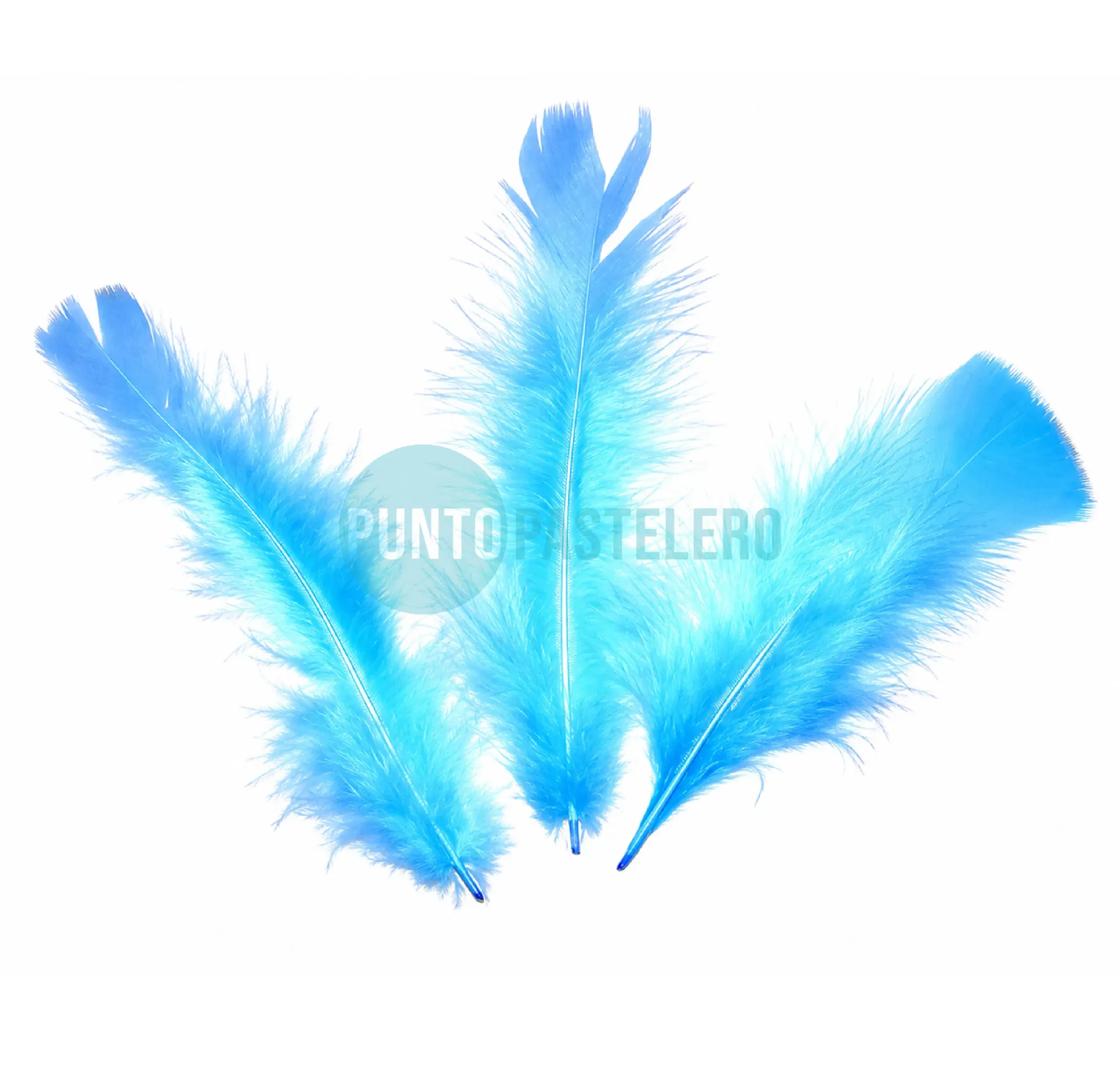 PLUMA ECONOMICA CHICA CELESTE N°3 CBX (50 U.)