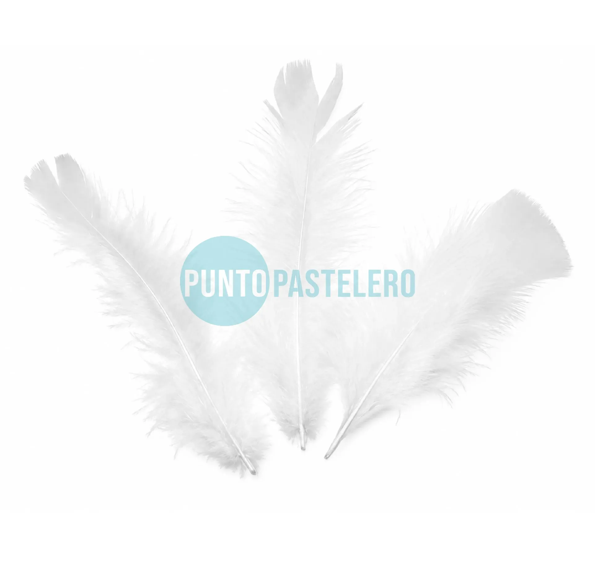 PLUMA ECONOMICA CHICA BLANCAS N°3 CBX (50 U.)